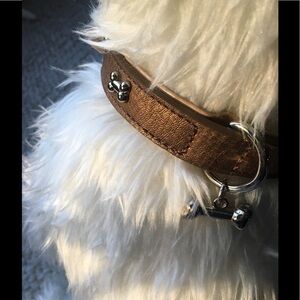 Statement Collar Butter Soft Gold